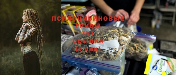 ECSTASY Алексеевка