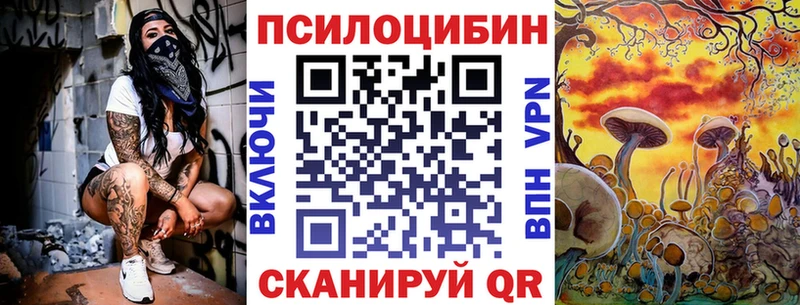 Псилоцибиновые грибы мицелий omg вход Королёв